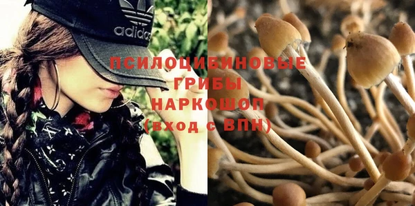 винт Абдулино