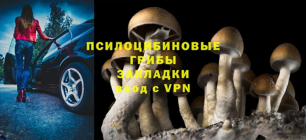 спиды Абинск
