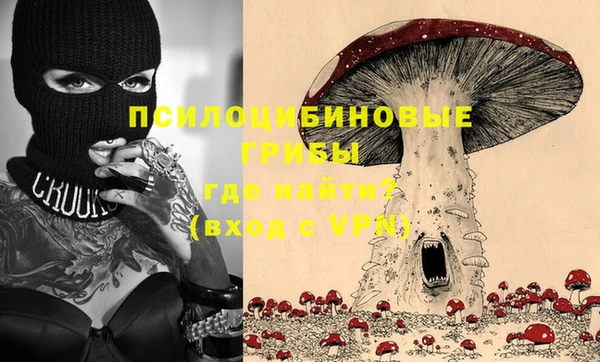 первитин Инта